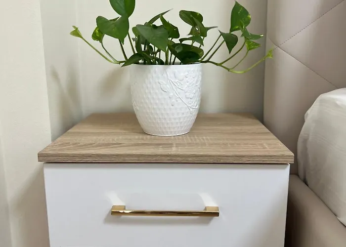 Cozy In Apartament *